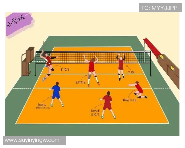 武汉排球队的团队协作精神与排球竞技的完美结合探讨