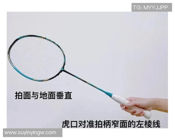 从零起步掌握羽毛球战术技巧全面指南助你成为场上高手